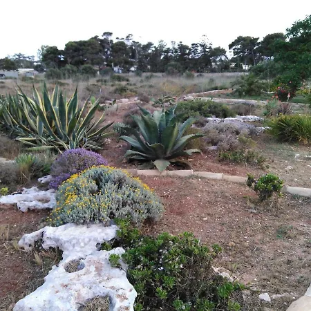 La Casetta Di Tufo Apartment Favignana